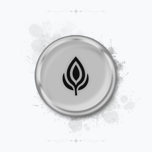 Licencia  SILVER